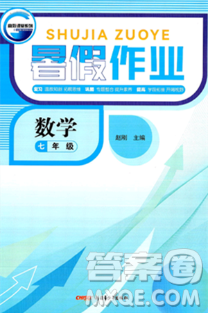 新疆青少年出版社2025年高效课堂系列暑假作业七年级数学全册通用版答案 新疆青少年出版社2025年高效课堂系列暑假作业七年级数学全册通用版答案