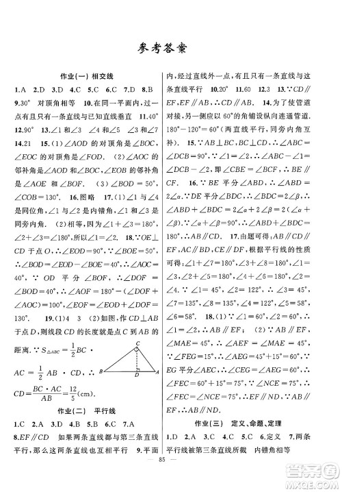 新疆青少年出版社2025年高效课堂系列暑假作业七年级数学全册通用版答案 新疆青少年出版社2025年高效课堂系列暑假作业七年级数学全册通用版答案
