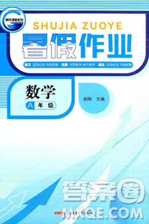 新疆青少年出版社2025年高效课堂系列暑假作业八年级数学全册通用版答案