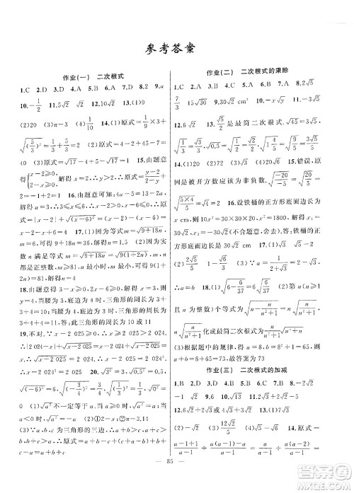 新疆青少年出版社2025年高效课堂系列暑假作业八年级数学全册通用版答案