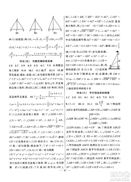 新疆青少年出版社2025年高效课堂系列暑假作业八年级数学全册通用版答案