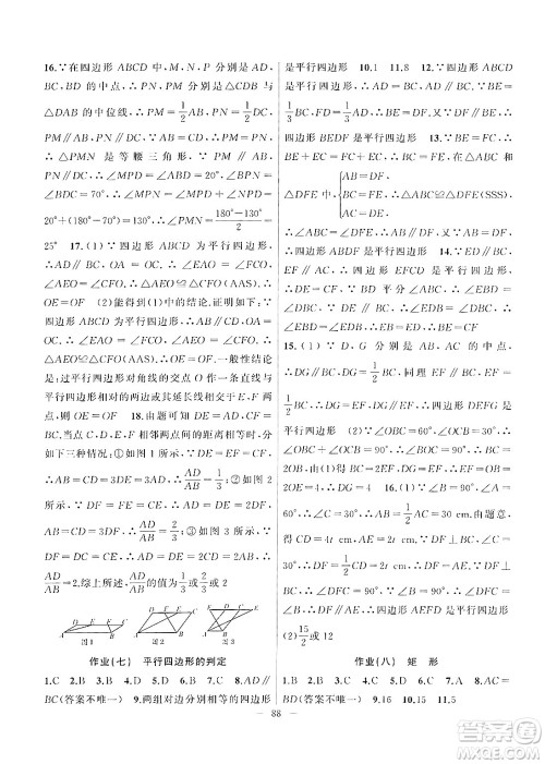 新疆青少年出版社2025年高效课堂系列暑假作业八年级数学全册通用版答案